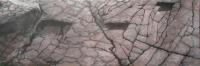 TERRA-acrilico-su-tela-50x150.jpg