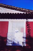 PORT-GRIMAUD-LA-DONNA-CHE-GUARDA-PROVENZA-fotografia.jpg