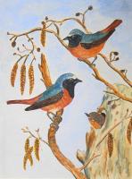 UCCELLINI-acquerello-22x30.jpg
