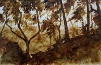 BOSCO-acquerello-30x20.jpg