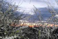 fotografia-(04).jpg