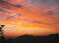 ALBA-fotografia.jpg