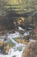 VERSO-LE-FONTI-DI-POIANO-fotografia.jpg