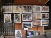 I_Primi_di_Rolo_13.jpg