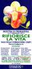 Rifiorisce_la_vita.jpg
