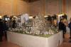IMG-2807.jpg