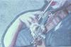 2-La-violinista-dalle-labbra-rosse.jpg